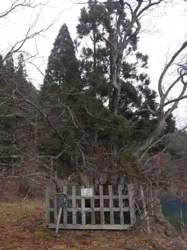 御座石神社の自然