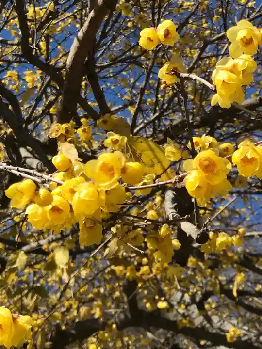 横浜 西方寺の自然