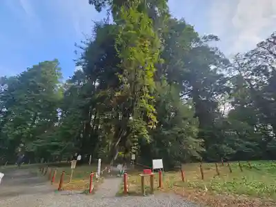 伊佐須美神社(福島県)