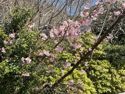 鎌倉宮(神奈川県)