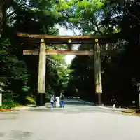 明治神宮の鳥居