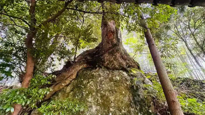 岩神神社(京都府)