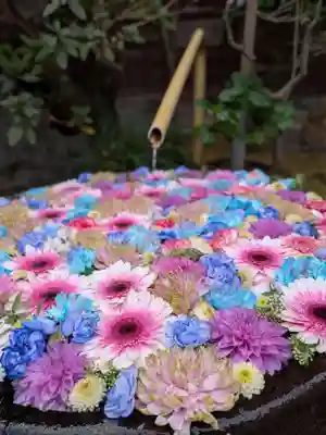 心行寺(東京都)