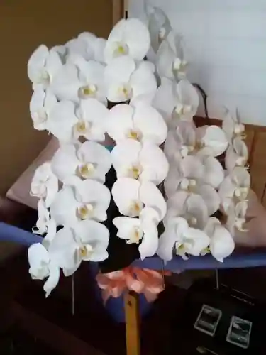 瑞雲寺(神奈川県)