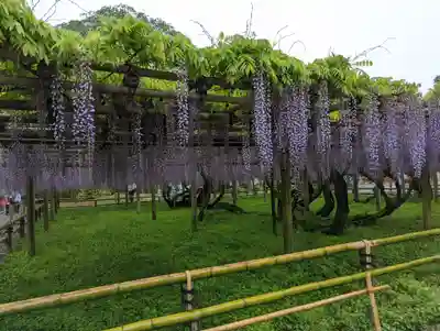 平等院(京都府)