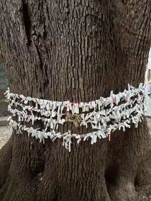 上目黒氷川神社(東京都)