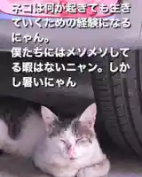 専念寺(大阪府)