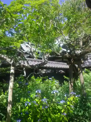 東慶寺の庭園