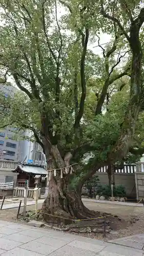 難波神社の自然