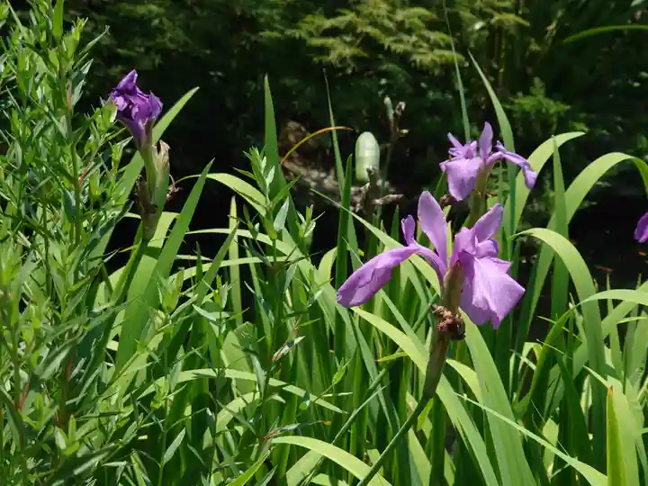 宇賀神社(神奈川県)