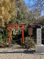 鷲宮神社(埼玉県)