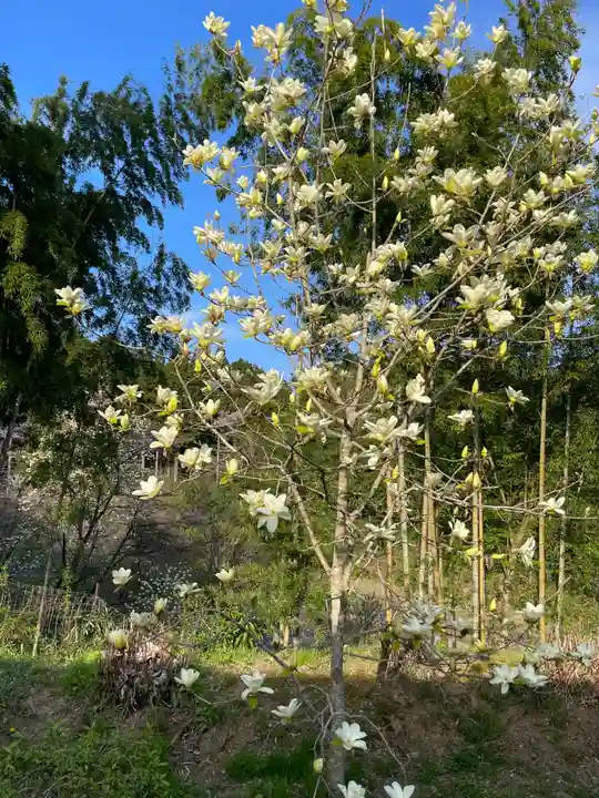 高照寺(兵庫県)