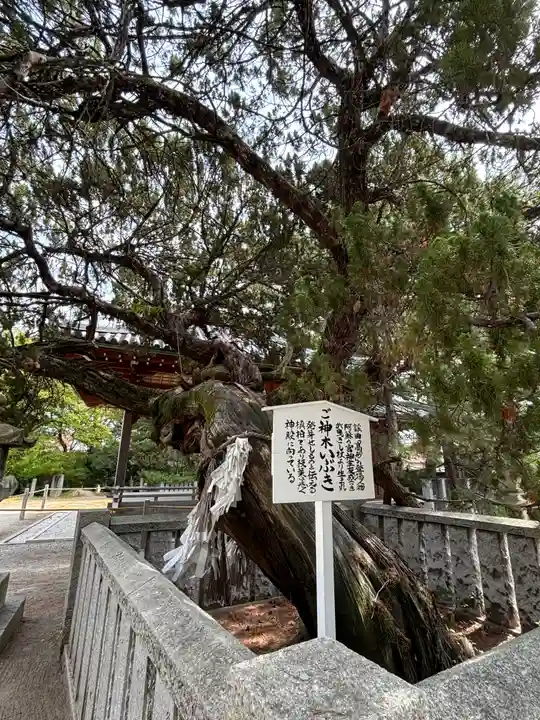 高砂神社のその他建物