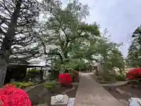 多聞院(東京都)