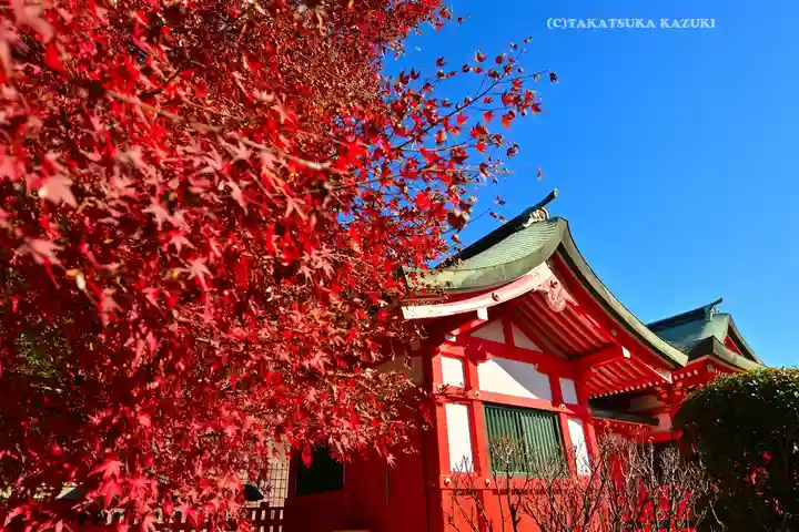 足利織姫神社(栃木県)