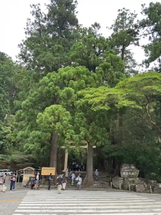 飛瀧神社(熊野那智大社別宮)の{uncategorized: "未分類", other: "その他", undefined: "問題あり", building: "その他建物", grave: "お墓", sacred_gate: "鳥居", guardian: "狛犬", statue: "像", buddha: "仏像", history: "歴史", nature: "自然", garden: "庭園", animal: "動物", pagoda: "塔", temizu: "手水舎", mountain_gate: "山門・神門", sanctuary: "本殿・本堂", subordinate: "末社・摂社", art: "芸術", scenery: "景色", jizo: "地蔵", ema: "絵馬", goshuin: "御朱印", omikuji: "おみくじ", items: "授与品その他", amulet: "お守り", goshuincho: "御朱印帳", eats: "食事", festival: "お祭り", votive_dance: "神楽", shichigosan: "七五三参", wedding: "結婚式", experience: "体験その他", initially: "初詣", around: "周辺", anti_infection: "感染症対策"}