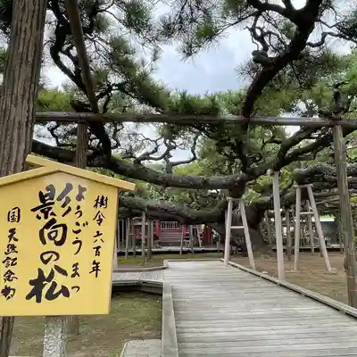 善養寺の庭園