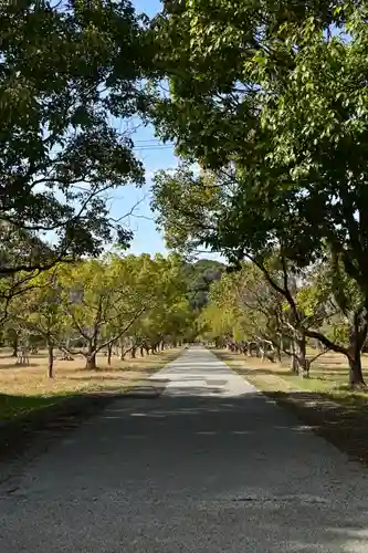 若宮八幡宮(高知県)