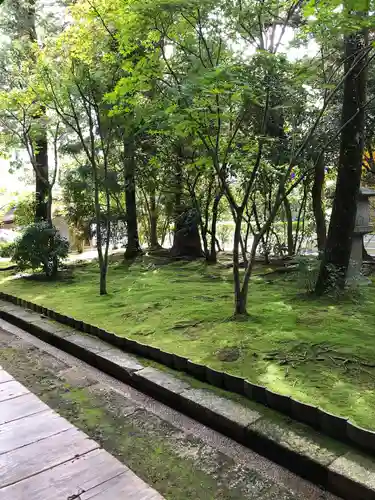 龍安寺の庭園