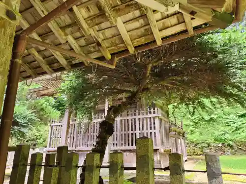 貴船神社の本殿・本堂