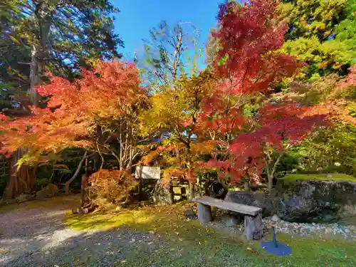 五所駒瀧神社の自然