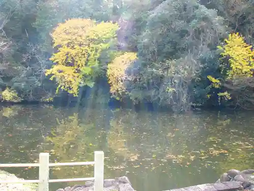 大嶋神社奥津嶋神社(滋賀県)