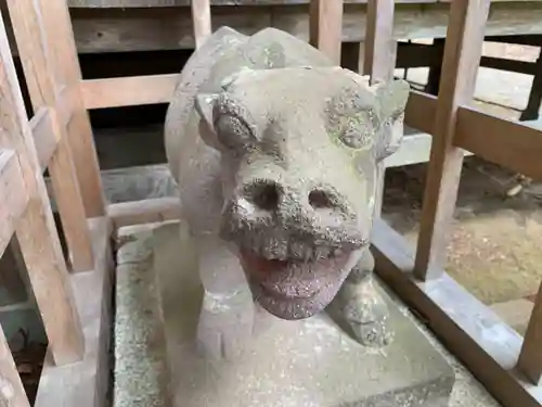 八坂神社の狛犬