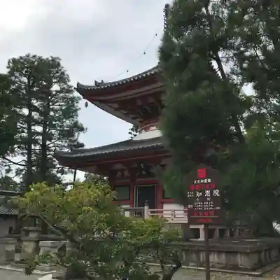 知恩院の本殿・本堂