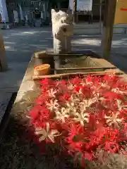 三輪神社(岐阜県)