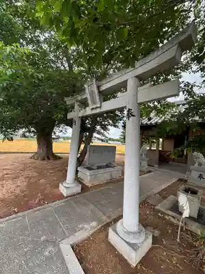 菊徳大年神社(兵庫県)