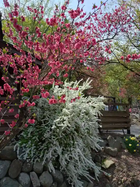 浄光寺(長野県)