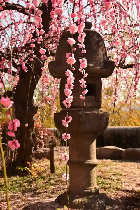 防府天満宮(山口県)
