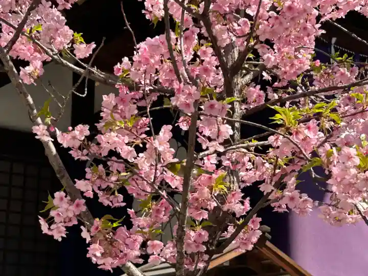 東京大神宮(東京都)