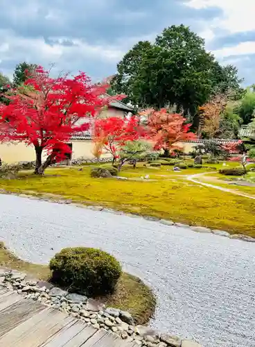 鹿王院の庭園