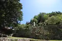 夫婦木神社(山梨県)