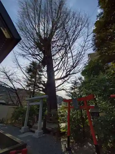 朝日氷川神社(埼玉県)
