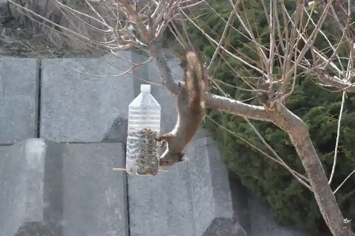 宝光寺(北海道)