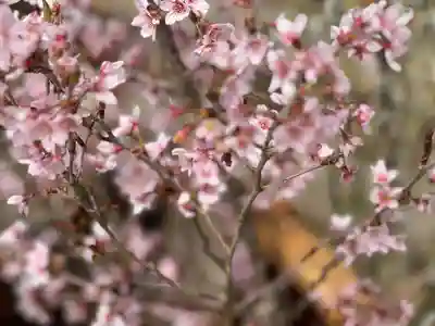 阿邪訶根神社(福島県)