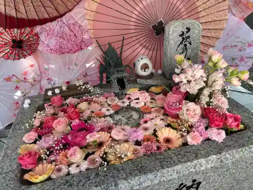 札幌諏訪神社の{uncategorized: "未分類", other: "その他", undefined: "問題あり", building: "その他建物", grave: "お墓", sacred_gate: "鳥居", guardian: "狛犬", statue: "像", buddha: "仏像", history: "歴史", nature: "自然", garden: "庭園", animal: "動物", pagoda: "塔", temizu: "手水舎", mountain_gate: "山門・神門", sanctuary: "本殿・本堂", subordinate: "末社・摂社", art: "芸術", scenery: "景色", jizo: "地蔵", ema: "絵馬", goshuin: "御朱印", omikuji: "おみくじ", items: "授与品その他", amulet: "お守り", goshuincho: "御朱印帳", eats: "食事", festival: "お祭り", votive_dance: "神楽", shichigosan: "七五三参", wedding: "結婚式", experience: "体験その他", initially: "初詣", around: "周辺", anti_infection: "感染症対策"}