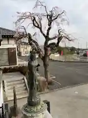 清水寺(神奈川県)