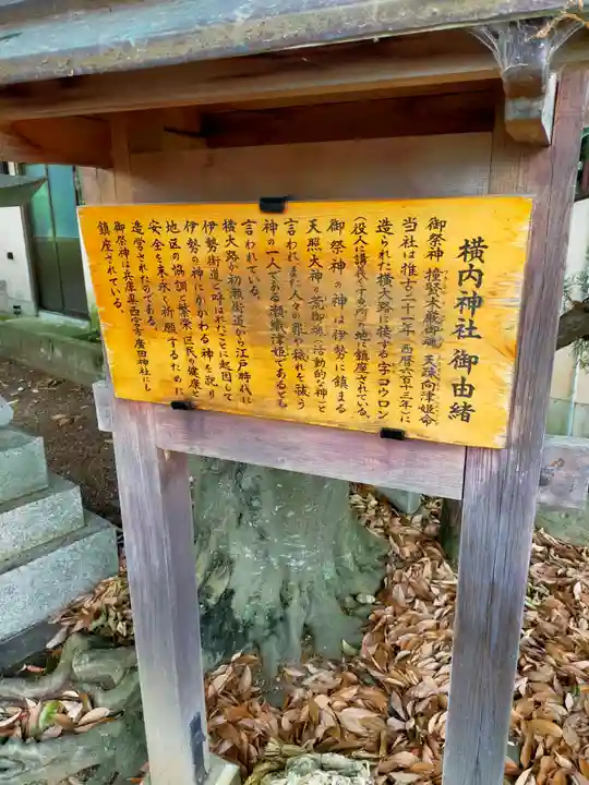 撞賢木厳之御魂天疎向津媛命神社(奈良県)