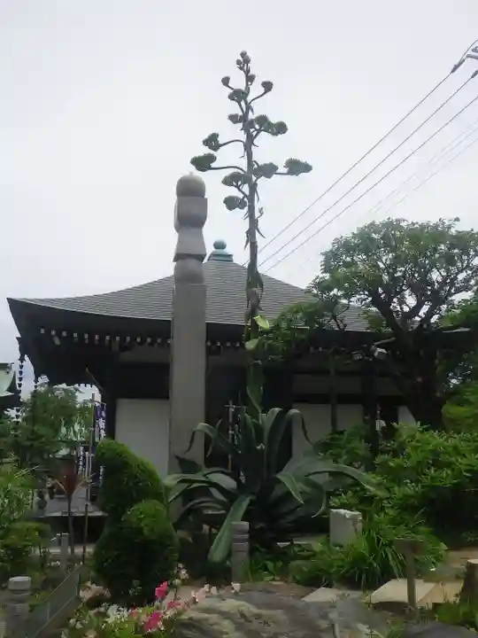 青蓮寺のその他建物