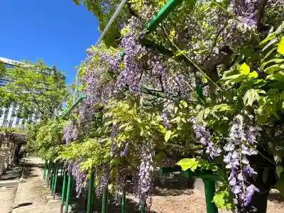 天満宮中之社（廃神社・石碑あり）(大阪府)