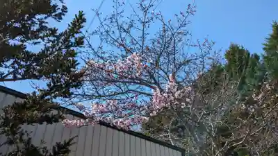 厚岸真龍神社の自然