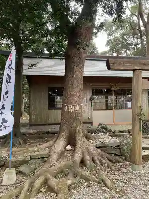 伊射波神社(三重県)