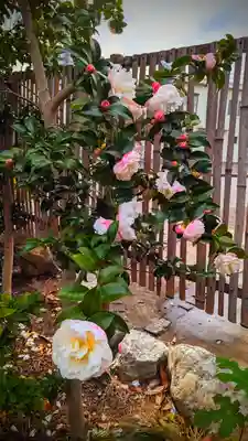 菊田神社の自然