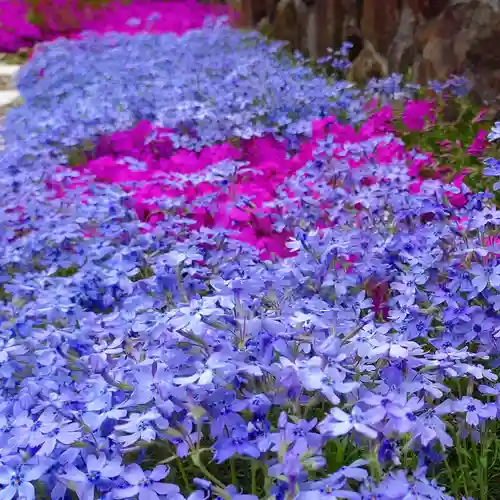 寿量山　速成寺の自然