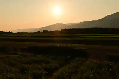 伊射奈美神社(徳島県)