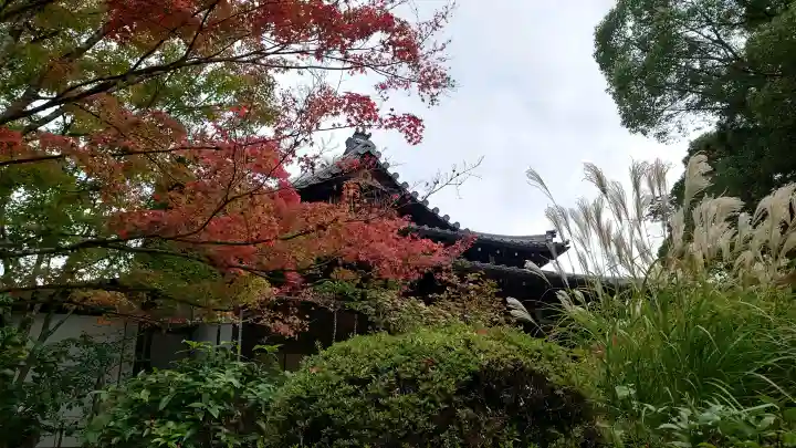 南禅寺の{uncategorized: "未分類", other: "その他", undefined: "問題あり", building: "その他建物", grave: "お墓", sacred_gate: "鳥居", guardian: "狛犬", statue: "像", buddha: "仏像", history: "歴史", nature: "自然", garden: "庭園", animal: "動物", pagoda: "塔", temizu: "手水舎", mountain_gate: "山門・神門", sanctuary: "本殿・本堂", subordinate: "末社・摂社", art: "芸術", scenery: "景色", jizo: "地蔵", ema: "絵馬", goshuin: "御朱印", omikuji: "おみくじ", items: "授与品その他", amulet: "お守り", goshuincho: "御朱印帳", eats: "食事", festival: "お祭り", votive_dance: "神楽", shichigosan: "七五三参", wedding: "結婚式", experience: "体験その他", initially: "初詣", around: "周辺", anti_infection: "感染症対策"}