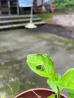 大宮温泉神社(栃木県)